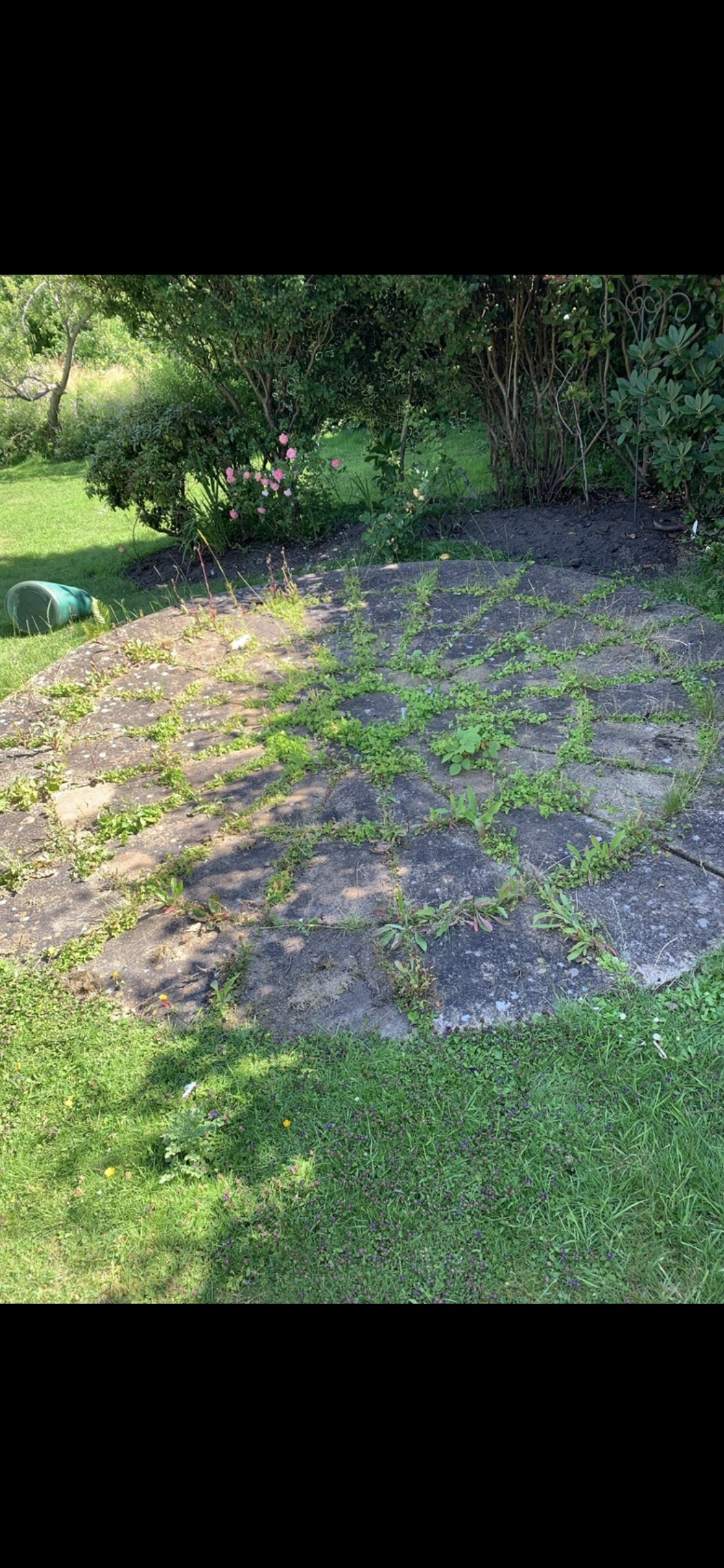 Before view of Garden Maintenance