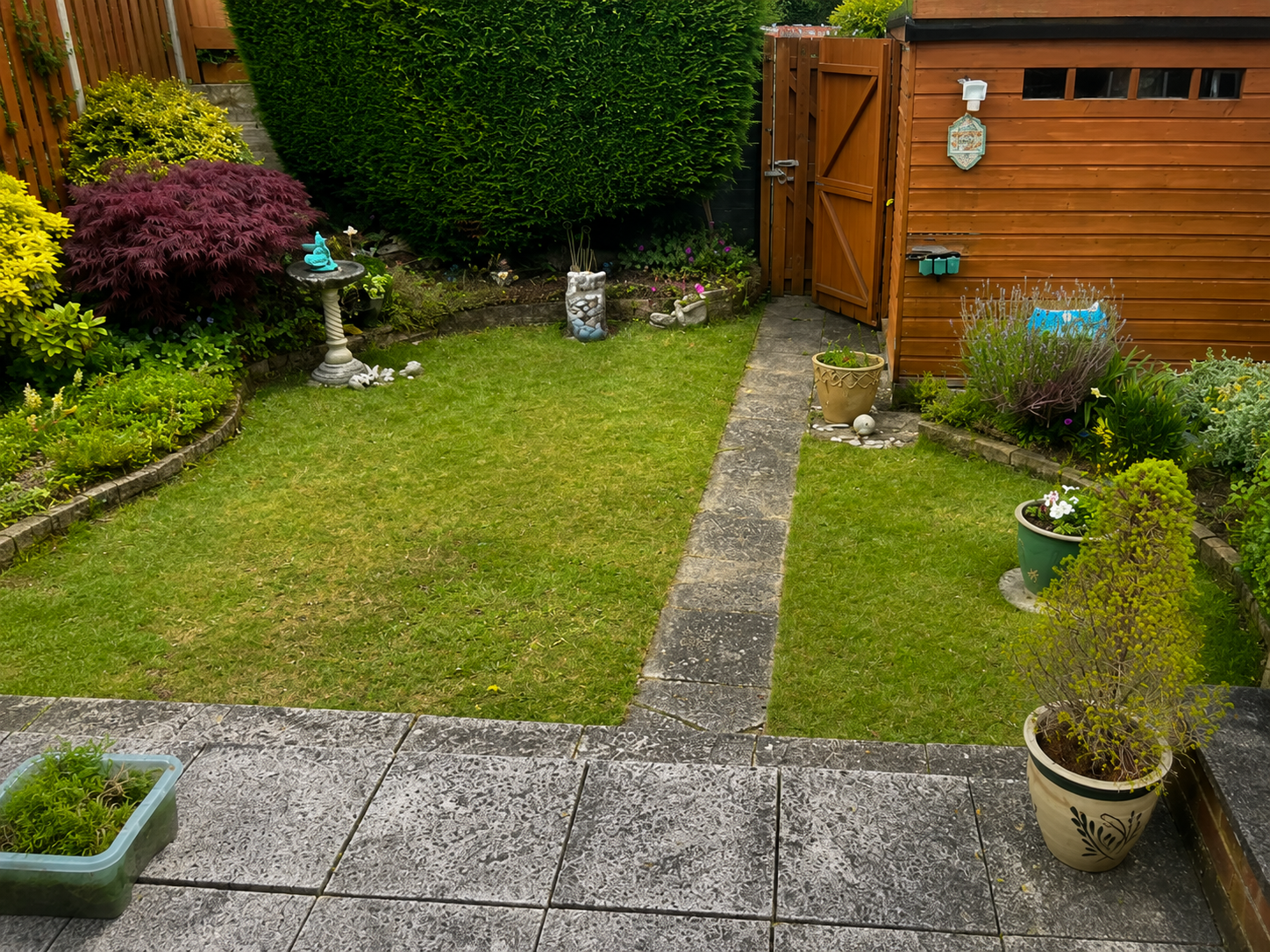 Before view of Hedge & Lawn Care